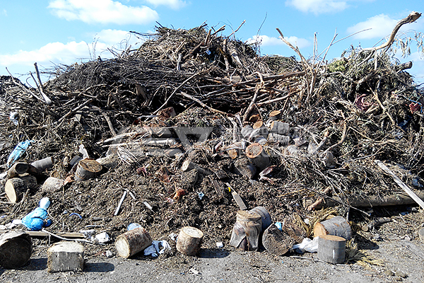 木材綜合破碎機(jī)多少錢一臺(tái)？木材破碎機(jī)圖片及價(jià)格